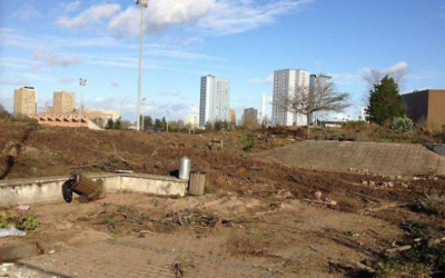 Les arbres ne sont pas du mobilier urbain !