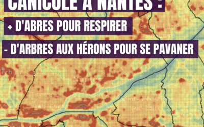 Canicule à Nantes : Plus d’arbres pour respirer, moins d’arbres aux hérons pour se pavaner ! 